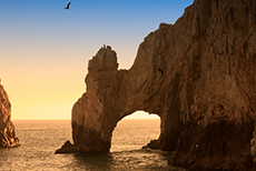 Cabo San Lucas The Arch (El Arco) & Lover's Beach cruise excursion